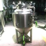 Electric Heating GHO 100L Beer fermentor for Sale Fermenting Equipment