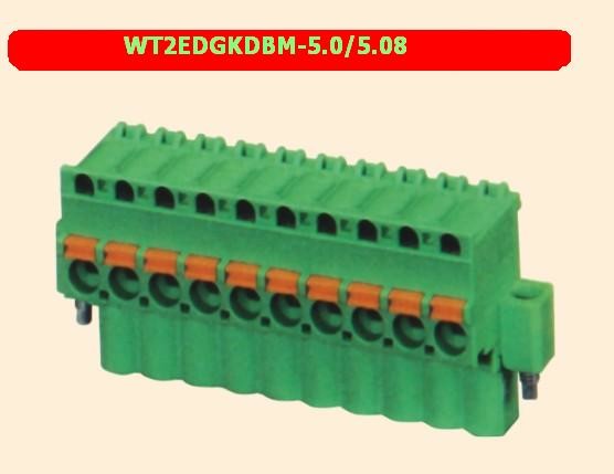Custom Pcb Wire Terminal Block 26－14 Awg WT2EDGKDA-5.0/5.08