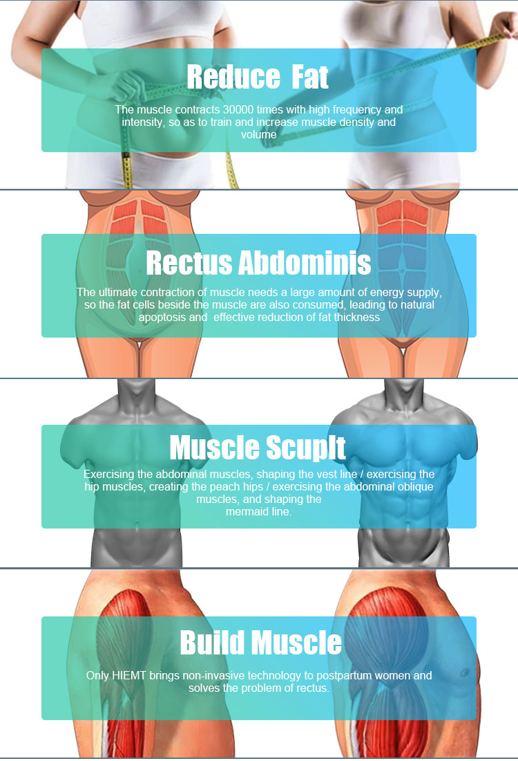 Advanced Cryolipolysis Slimming Machine For Weight Loss And Body Reshaping With 4500W Power