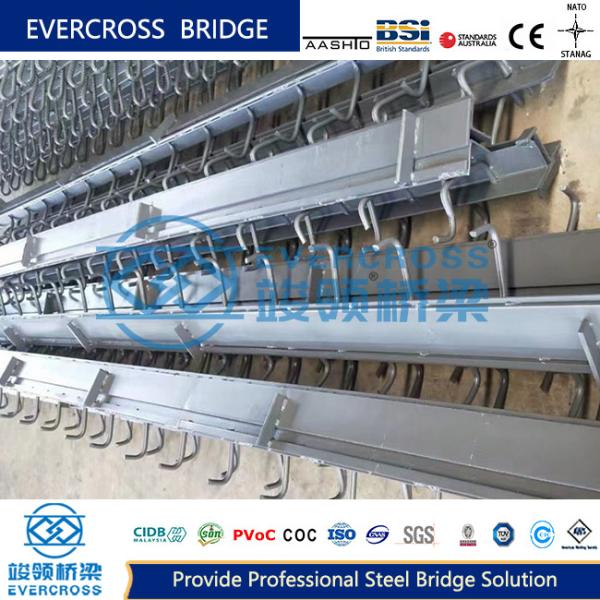 Professionally Designed And Customized High-Quality Steel Bridge Expansion