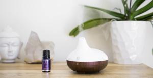 China Portable Mini Essential Oil Fragrance Scent Ultrasonic Air Humidifier wholesale