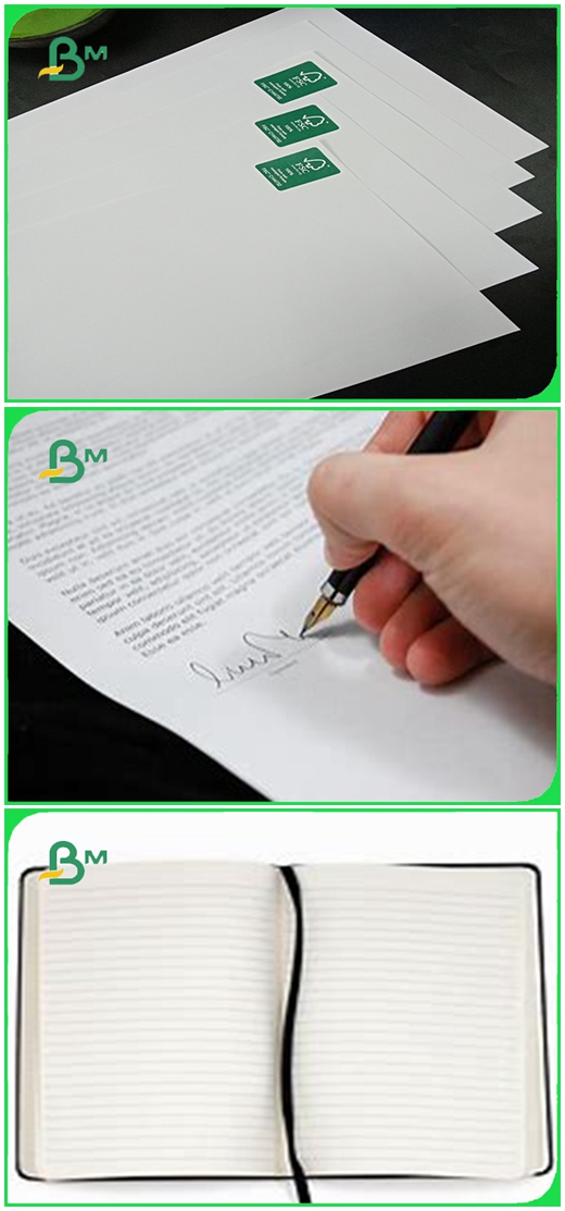 www.bmpaper.com