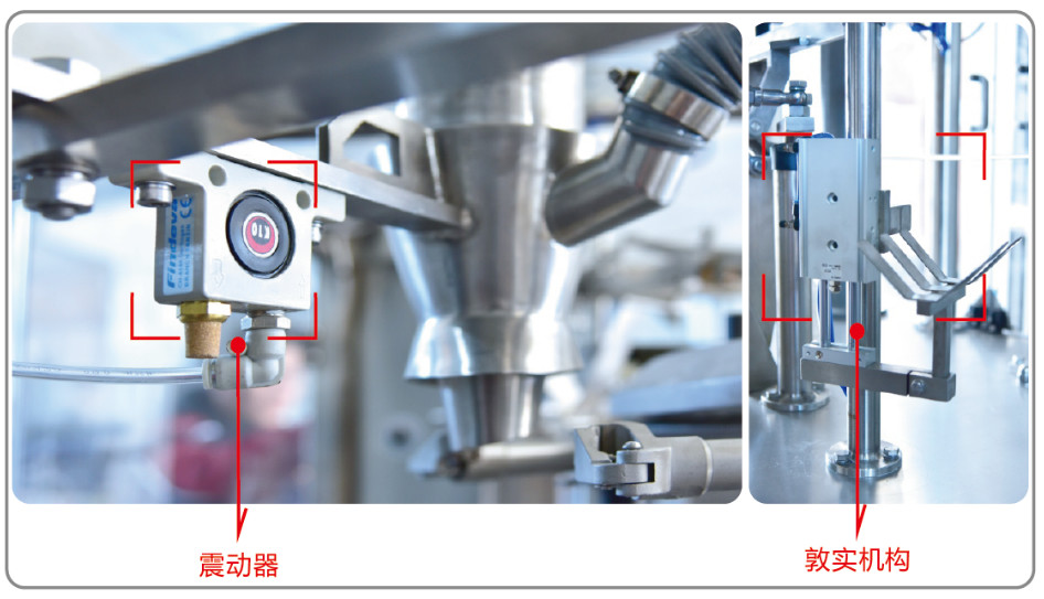 Pesticides GD6-300 Fully Automatic Rotary Bagging Machine