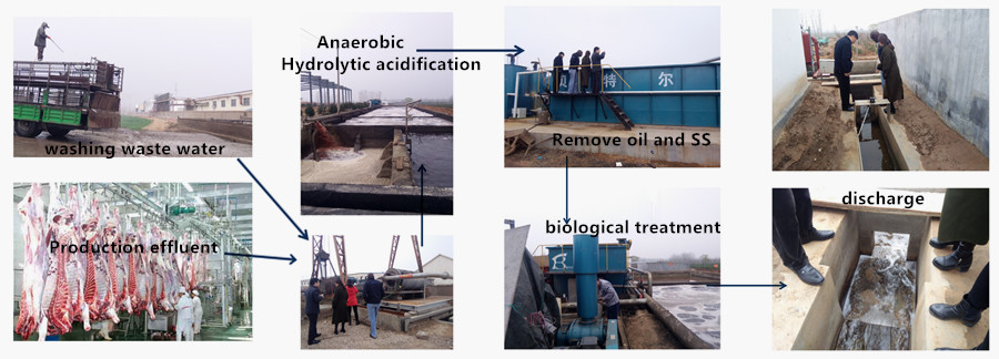 3000L/Hour Cattle Chicken Poultry Halal Meat Processing Mobile Wastewater Treatment Plant for Slaughterhouse