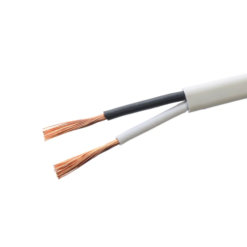 Flexible Cable for Indoor Small Electrical Instruments Power Cables 2 Cores Vde H03vvh2 f Copper PVC Insulation Control