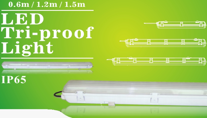 Easy installation 110lm/W IP65 water-proof level LED tri-proof SMD 3014