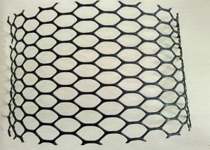 China 30m HDPE Black Plastic Poultry Netting wholesale