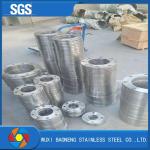 Pn6-100 Forged Stainless Steel Flanges Neck Welded Duplex Steel Flanges National