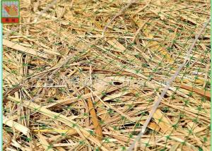 China Green Square Polypropylene Mesh Screen For Erosion Control Blanket wholesale
