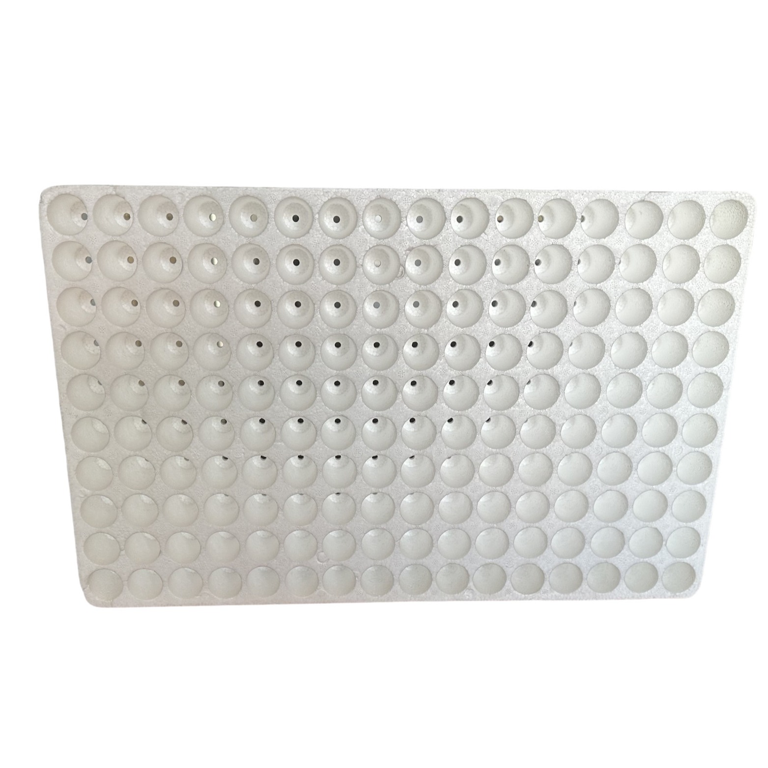 160 Hole Round Hole Foam Seedling Tray EPS Seedling Cultivation Tray Customization