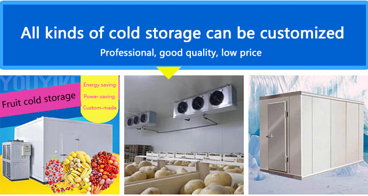 Icemedal Blast Walk In Freezer Room For Fish Meat Vegetable 220v/60hz/3ph