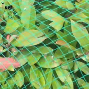 China Customized Plant Protection Netting Green Crop Protection Netting Agricultural wholesale
