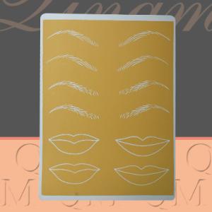China Durable Beginner Tattoo Permanent Makeup Practice Skin Real Skin Feeling wholesale