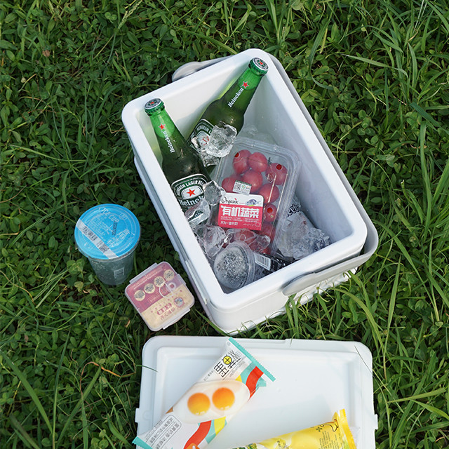 Medicine Coleman Cooler Box 8L Portable Ice Box Cooler For Fishing