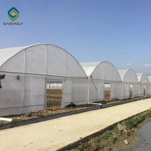 China Steel Frame Double Arch 4.5m Multi Span Greenhouse wholesale