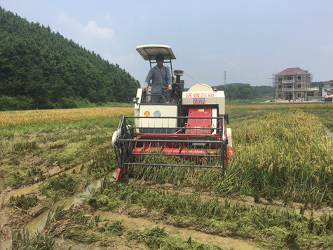 RL 65hp 80hp 100hp ）102hp TRACK COMBINE HARVESTER crops rice grain tank combine machinery MADE IN CHINA