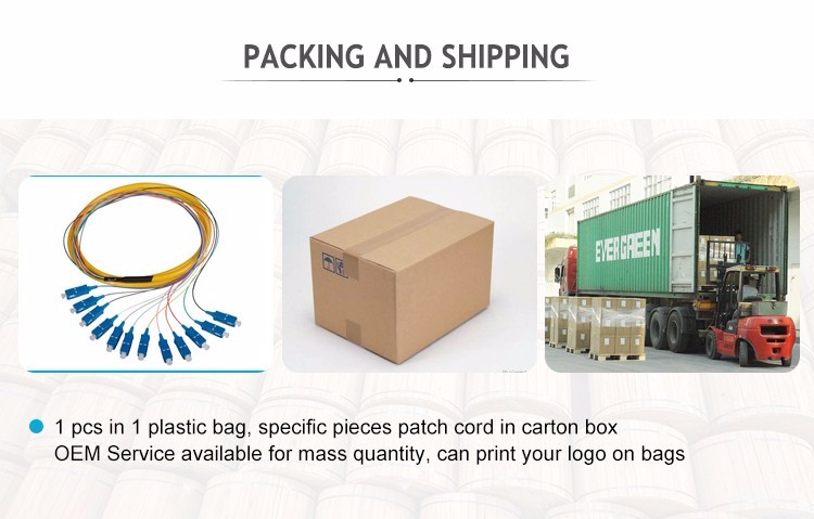 PLC Fiber Optic Splitter 2 Core Single Fiber High Reliability Widely Used