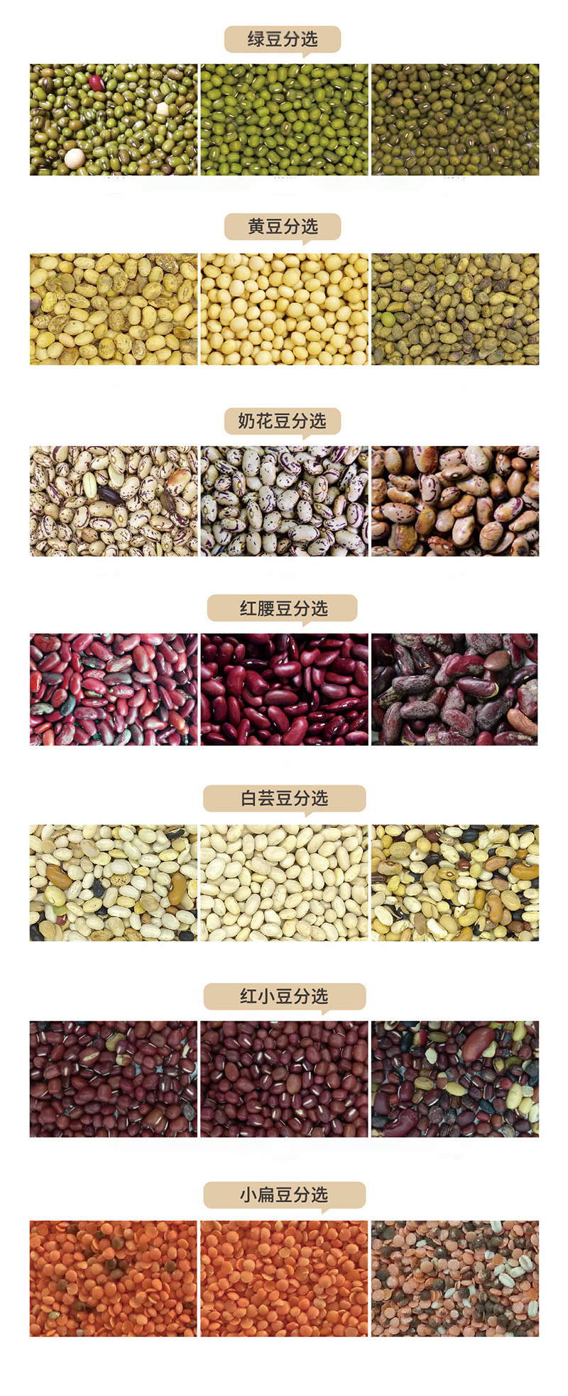 Intelligent Bean Color Sorter 192 Channel With Led Light