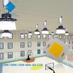 SGS R25mm COB LED 150W Full Spectrum 42-48V