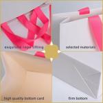 Custom Printed Logo Luxury Gift Paper Bag with Your Own Logo Retail Boutique