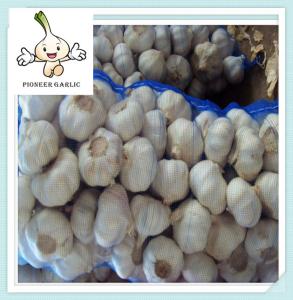 China fresh high quality natural garlic for sale quality china agriculture food wholesale