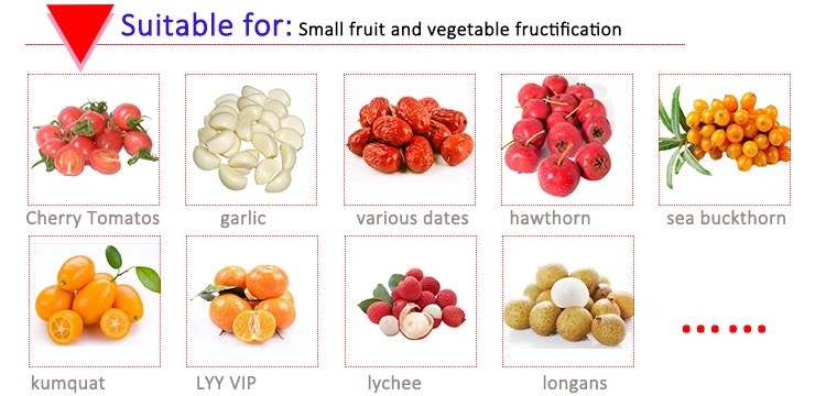 Wear Resistance Strawberry Processing Machine Vegetable Fruits Track Sorter Separator