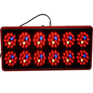China Cidly 12 LED Grow Light from Shenzhen China 450W wholesale