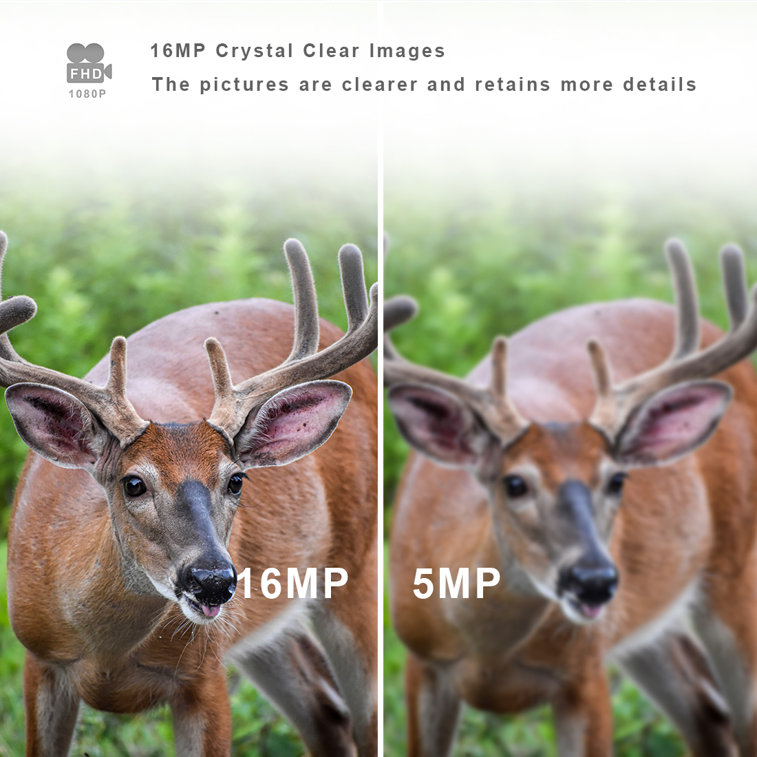 1080P+16MP 0.13mA Infrared Hunting Camera IP66 Waterproof