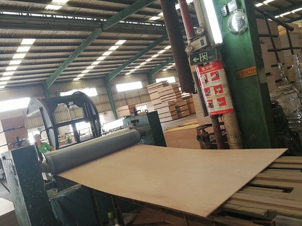 Flooring Fancy Plywood Board E1 Grade Poplar Veneer Plywood Custom