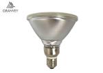 Recessed Cool White LED Spot Light Bulbs 15W COB Par38 Outdoor E27 AC 220-240V