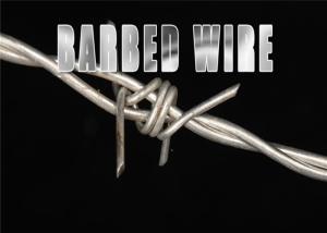 China 12x12 Single Twisted Galvanized Razor Barbed Wire wholesale