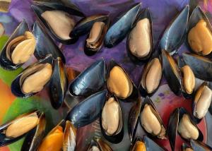 China Cooked Mussel Half Shell Mytilus wholesale