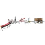 Bottom Sealer 200W Carton Box Packing Machine Automatic Carton Erector Machine