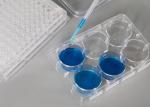 Disposable Plastic Cell Culture Plate Flat Bottom Multi Well Plate