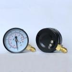 17 Bar 10 Bar Pressure Gauge 63mm EN837-1 Center Back Mount Pressure Gauge