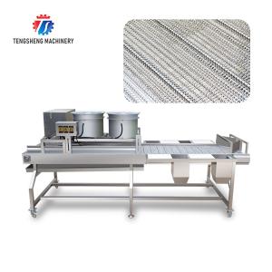 China Industrial Cassava Tomato Vegetable Processing Machine Drying And Selection wholesale