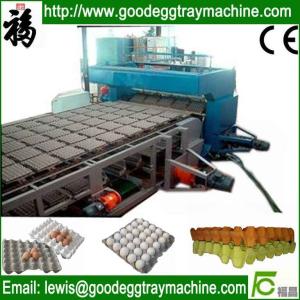 China Egg trays production line best price wholesale