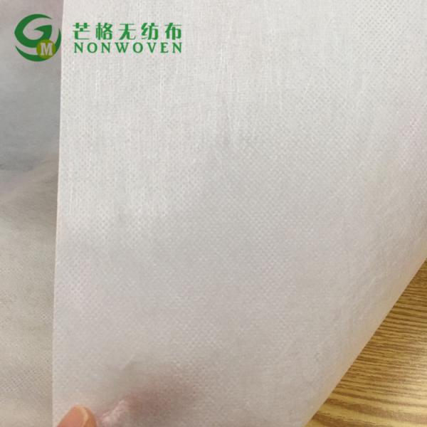 PLA nonwoven fabric biodegradable for plant grow bags friendly pla spunbond