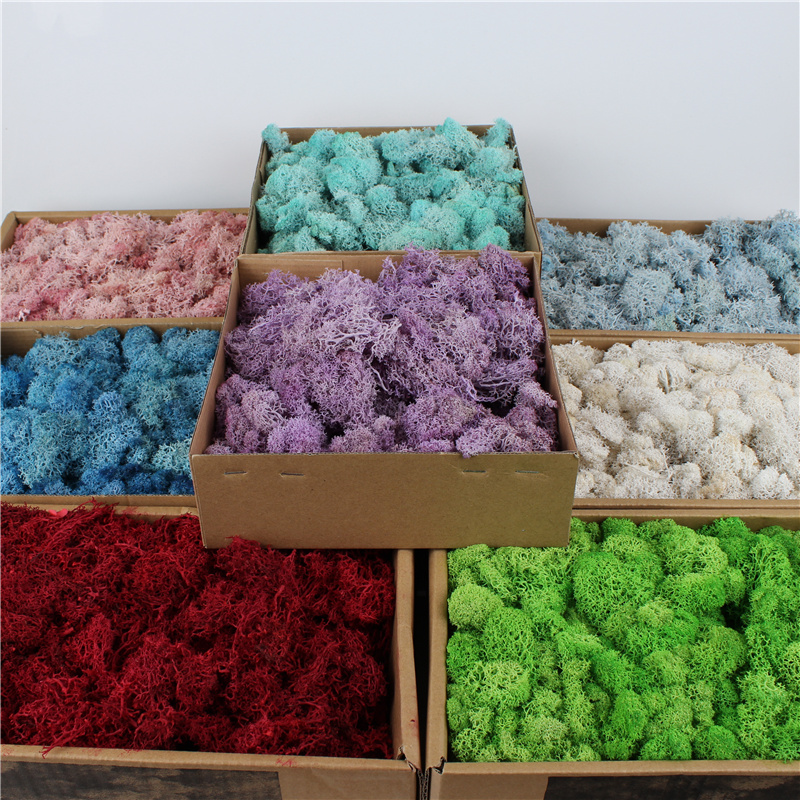 Luxury Home Preserved Natural Moss For All Year Occasions Decoration
