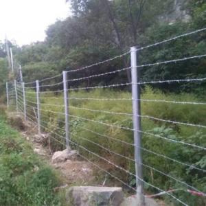 China Rust Resistant High Tensile Barbed Wire Traditional Double Twist Type wholesale