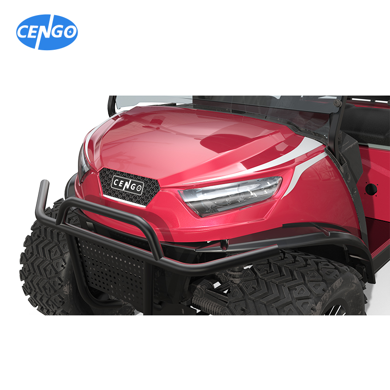 User-Friendly Electric Passenger Cars with Multiple Tire Sizes and Front Rear Disc Brake System