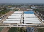 Industrial Steel Structural Buildings Prefabricated Steel Poultry House