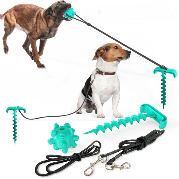 Eco Friendly Elastic Plastic Ground Stake Dog Leash