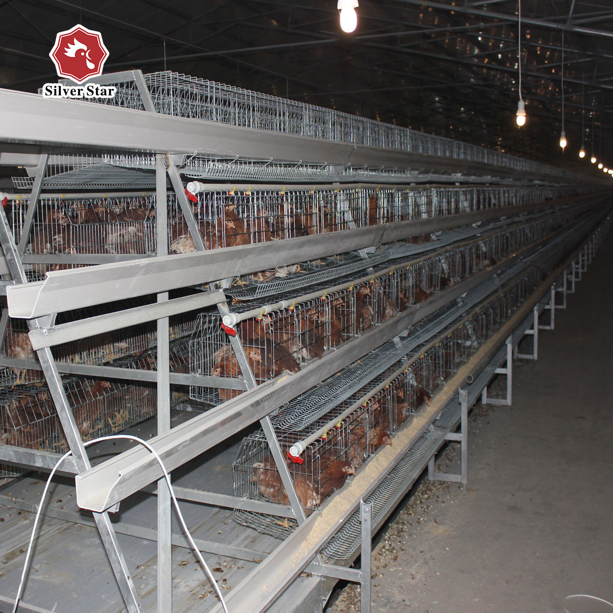 Layer Farming Equipment Battery Automatic Poultry Cages System for Kenya Farms