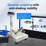 200 Product Capacity 500kg Fully Stainless Steel Scales with LED Display and