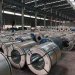 DX51d EN10327 Galvanized Steel Coil Z275 Z40-Z280 800mm SGHC Appliance