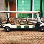 Outdoor Eight Person Beach Golf Cart Buggy Car Golf With 850kg 4kw CE Certificat