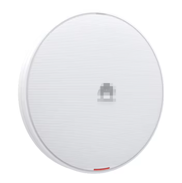 Private Mold Yes AirEngine 5761-11 Indoor Access Points for Top Networking Devices