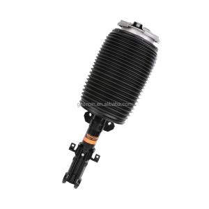 China Mercedes-Benz GLS Class 1673201103 Air Suspension Shock Absorber wholesale