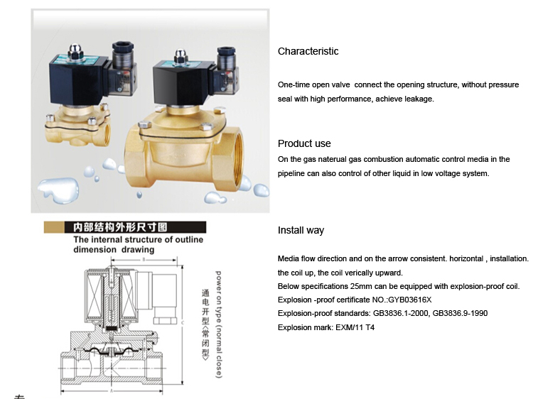 AFK Brass Solenoid Valve For Lpg Gas Line , 20MM Marine Lpg Solenoid AC220V